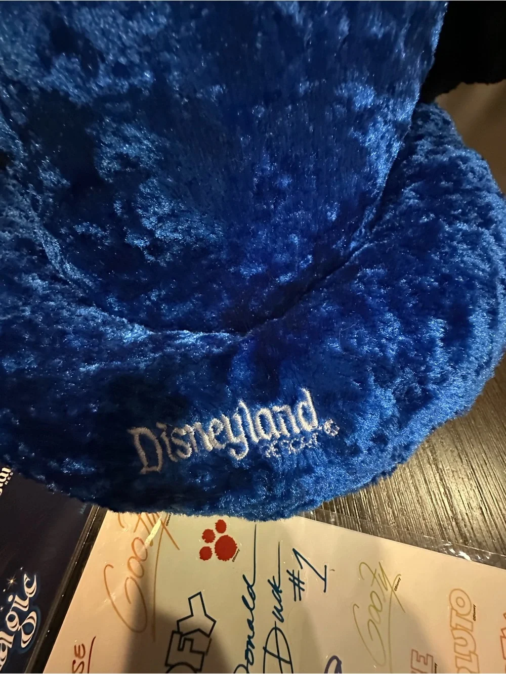 Disney Parks Sorcerer Mickey Mouse Plush Wizard Hat Adult (Fantasia) NEVER WORN